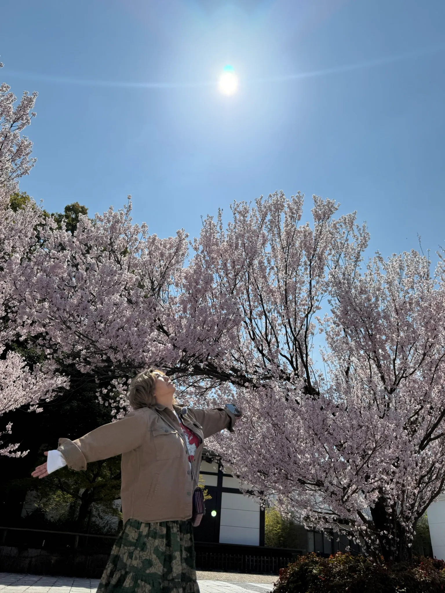 画像12