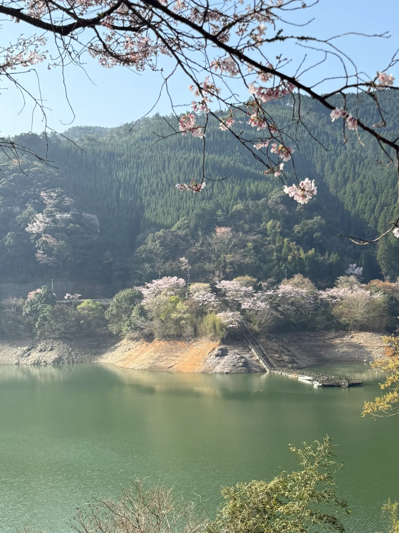 画像11